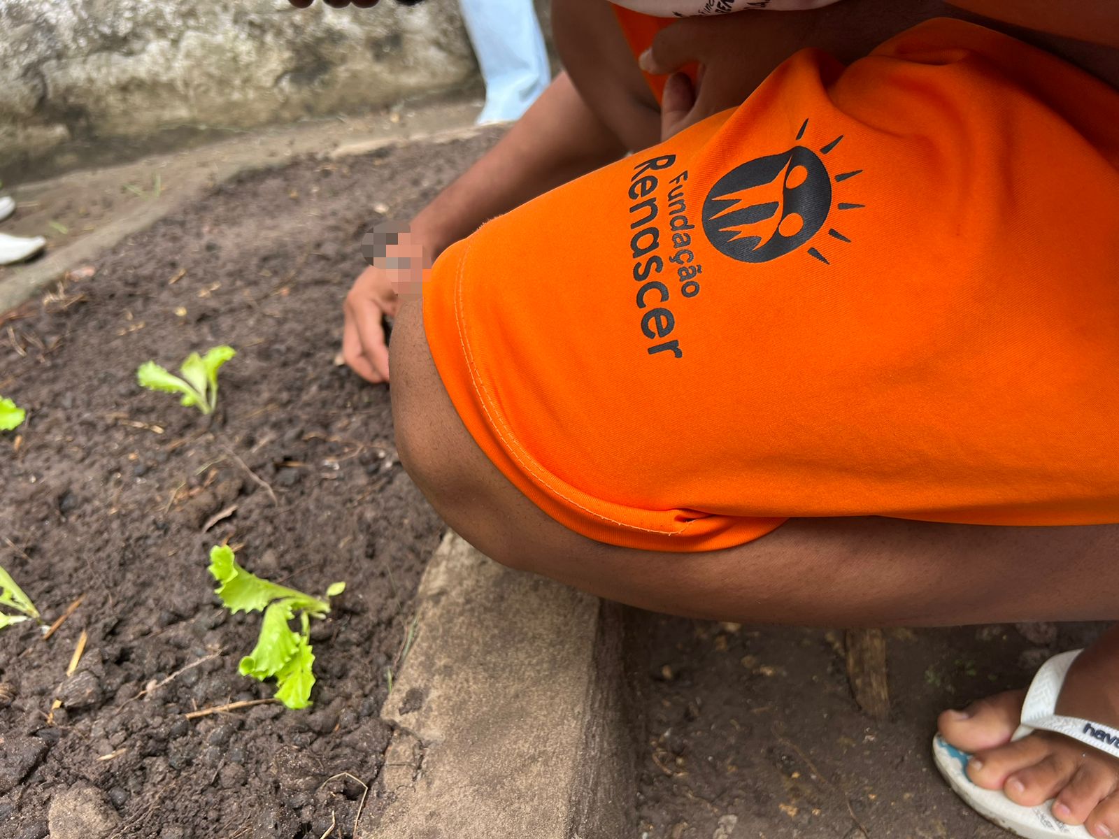 Fundação Renascer recebe programa Cultivando Hortas da Emdagro